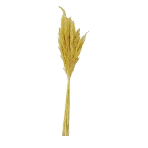 گل خشک مدل قمیش