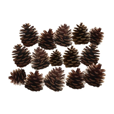 میوه تزیینی مدل میوه درخت کاج کد GB 015 بسته 15 عددی