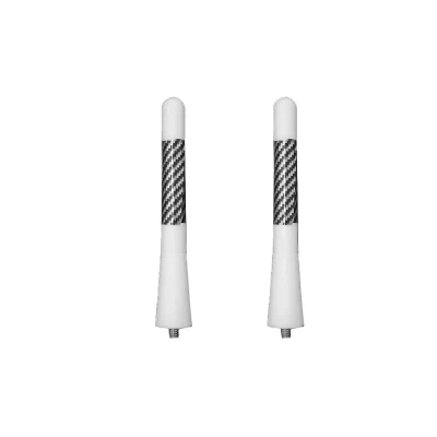 آنتن خودرو قطعه سازان کبیر مدل AN-QUICK14WH-1030142 مناسب برای کوییک بسته 2 عددی