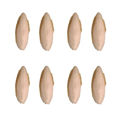 کف دریا کد 864 G وزن 64 گرم مجموعه 8 عددی