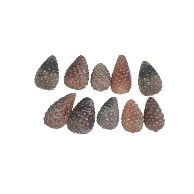 میوه تزیینی مدل کاج 002