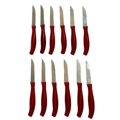 کارد میوه خوری ایکیا مدل دیامونت بسته 12 عددی