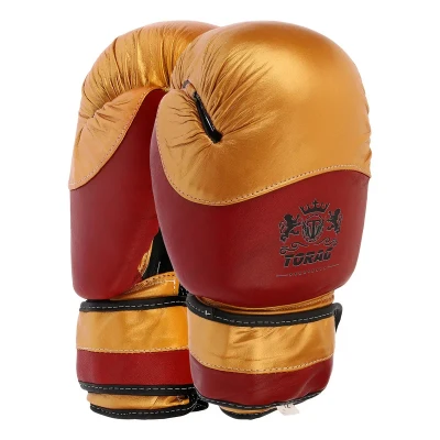 دستکش بوکس تورج  مدل fiter pro 2026