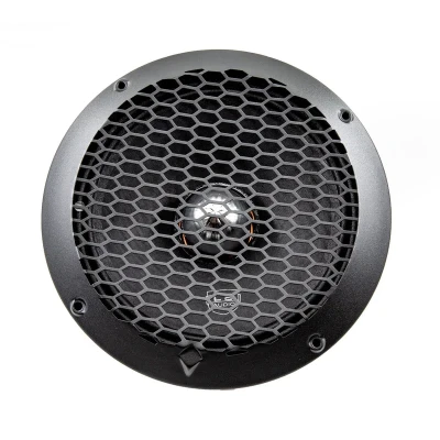 میدرنج خودرو ال اس ادیو مدل  LS-10F بسته دو عددی