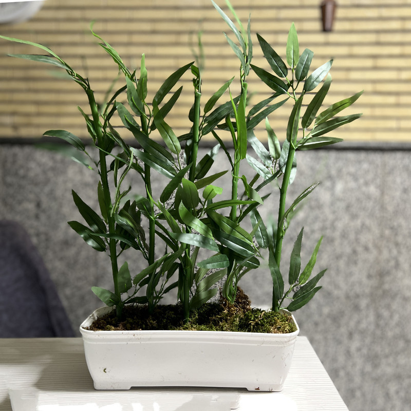 گل مصنوعی مدل شاخه تک بامبو، مناسب نصب رومیزی، دیواری، آویزی و ایستاده، ابعاد 10×10×50 سانتی‌متر، وزن 200 گرم، مجموعه 5 عدد