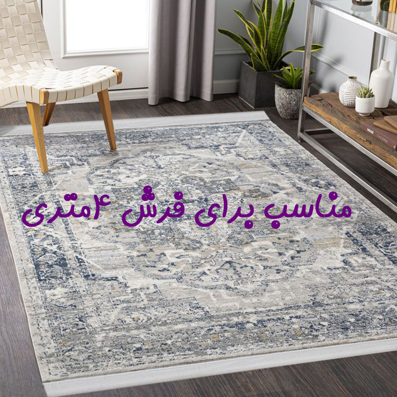 محافظ ریشه فرش راسپینا مدل 4 متری مجموعه 2 عددی