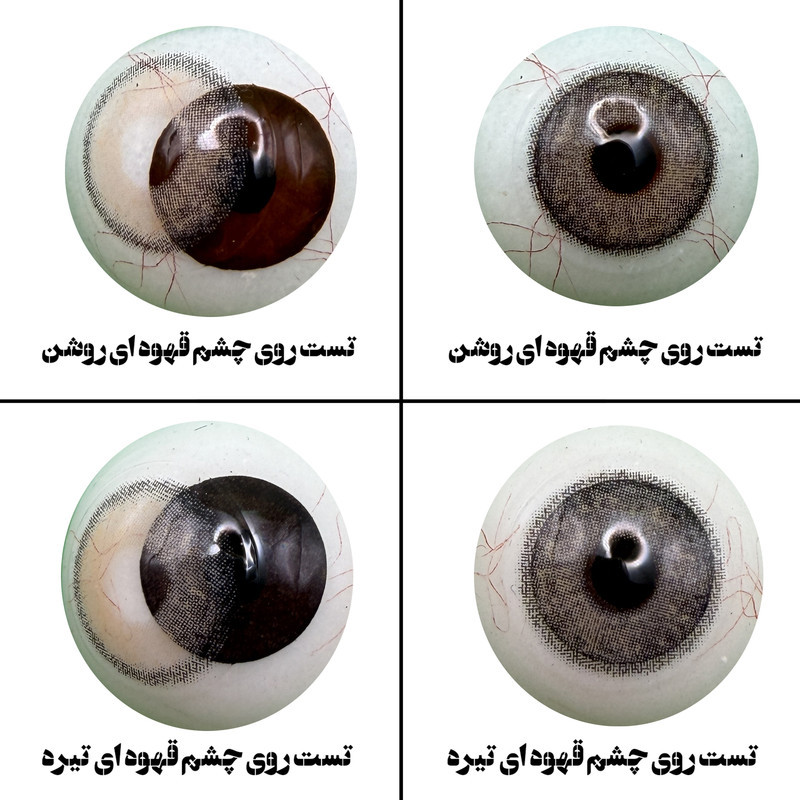 لنز چشم هرا مدل 15 سالانه کد AQYA320 رنگ عسلی طوسی طبیعی دور دار