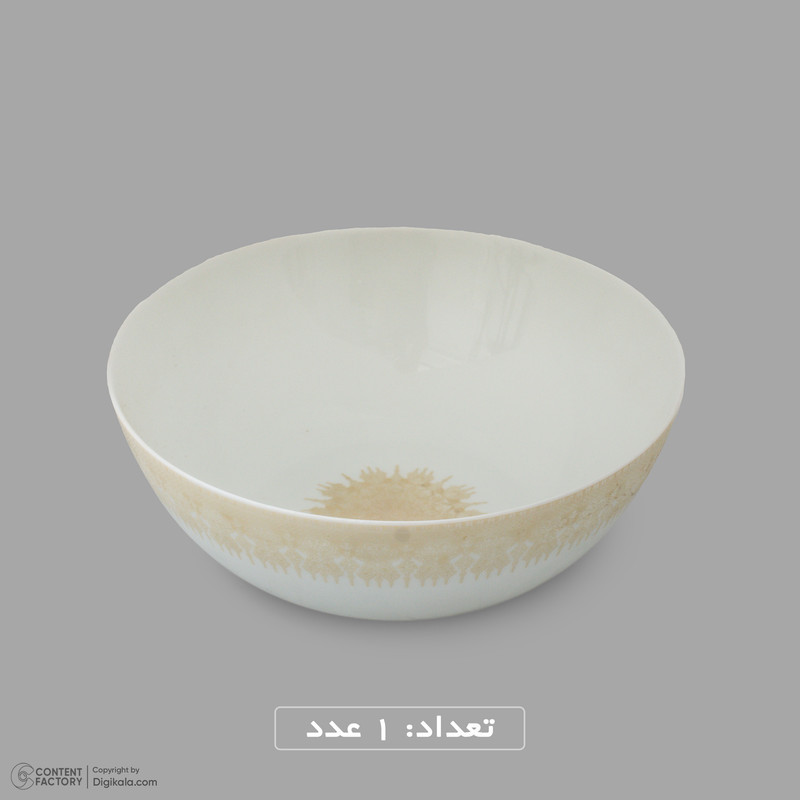 سرویس غذاخوری اوپال 26 پارچه 6 نفره دینو مدل  گرد کلاسیک ورژن 3 26007