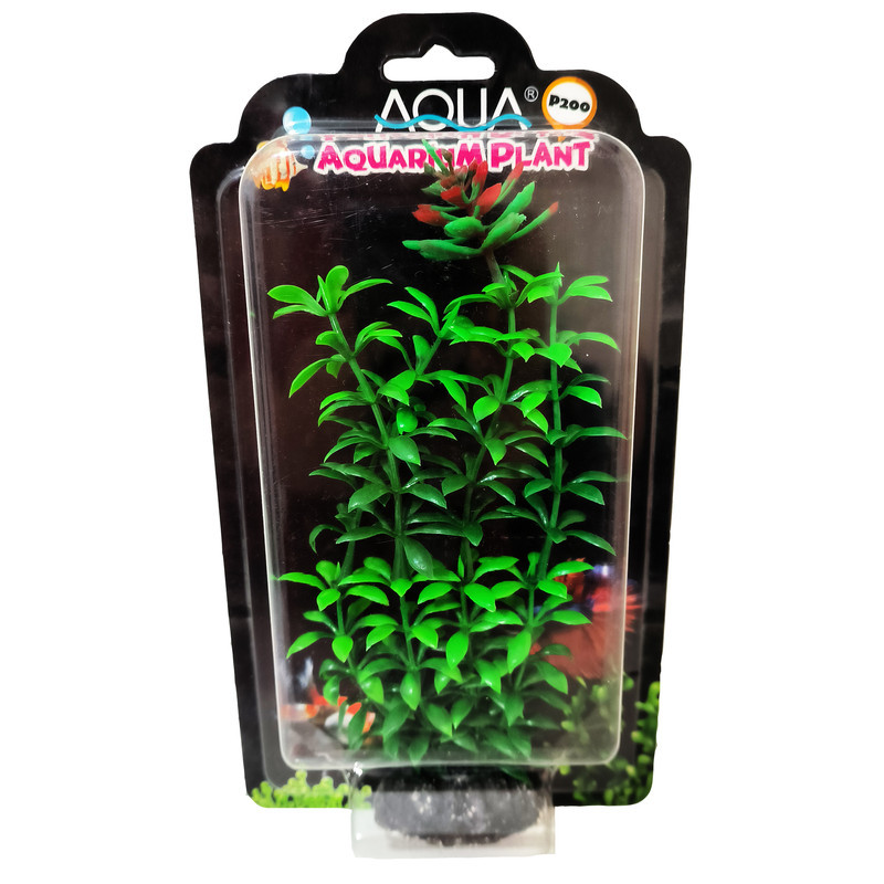 گیاه تزیینی آکواریوم آکوا کد A1P200