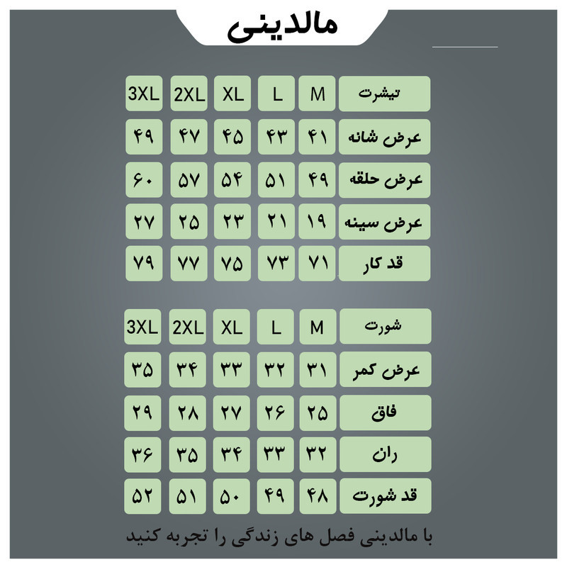 ست تی‌شرت آستین کوتاه و شلوارک ورزشی مردانه مدل 006