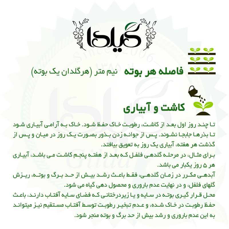 بذر فلفل شیرین سوزنی گیلدا کد 357