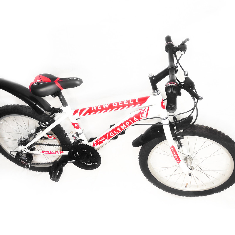 دوچرخه کوهستان المپیا مدل WR 1200 سایز 20