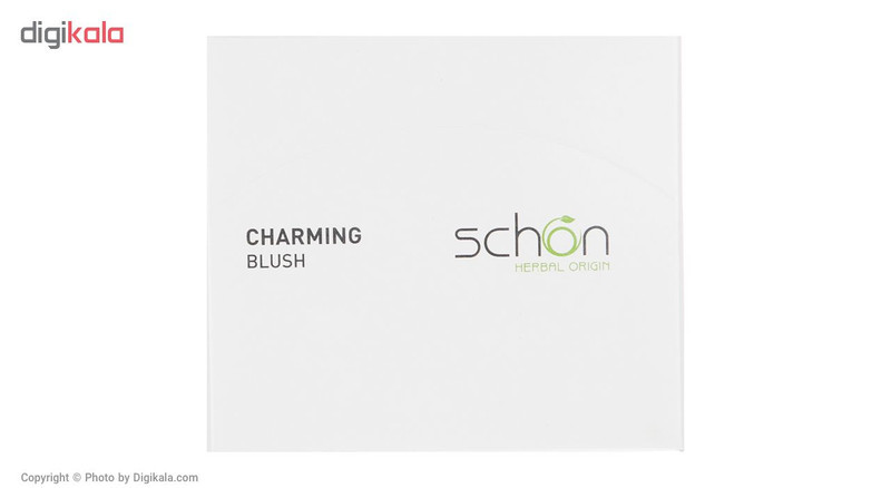 رژگونه شون سری Charming شماره B03