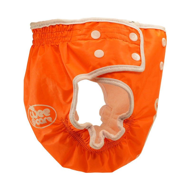 شورت آموزشی کودک وی کر مدل دکمه دار طرح Bear Girl کد U808