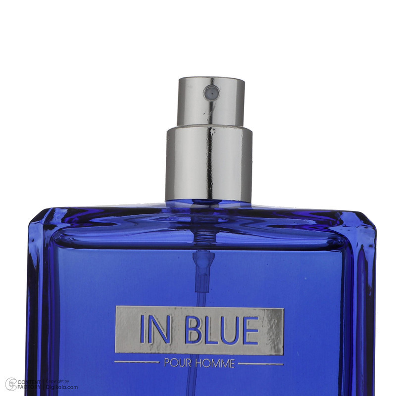 ادو پرفیوم مردانه رودیر مدل IN BLUE حجم 100 میلی لیتر