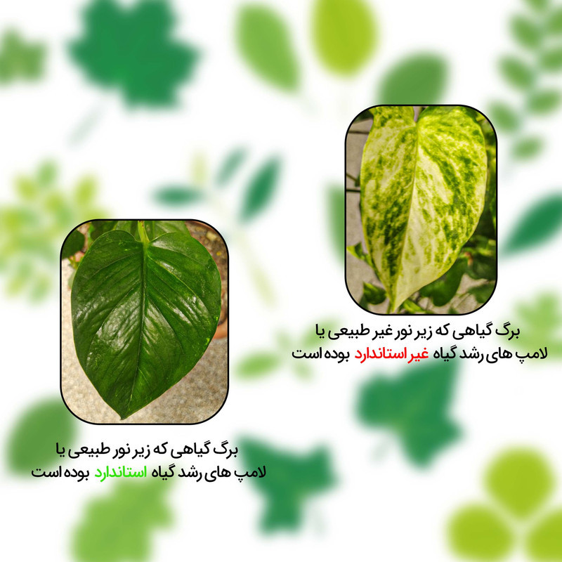 چراغ رشد گیاه  5 وات زد اف آر مدل فول اسپکتروم