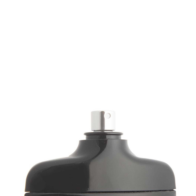 ادو پرفیوم مردانه نایس پاپت مدل Silver Scent با رایحه خنک و تند حجم 85 میلی لیتر
