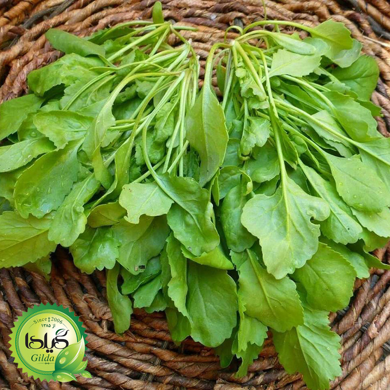 بذر سبزی خوردن گیلدا کد 097 مجموعه 10 عددی