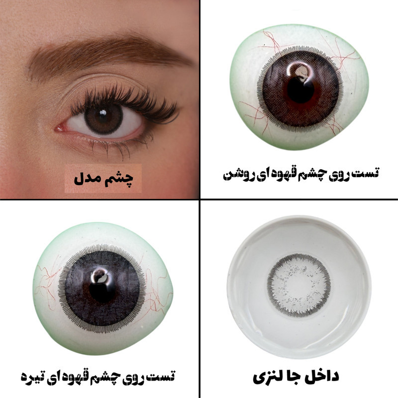 لنز چشم هرا گریس تمیم کانتکت لنز مدل PRL کد07 رنگ طوسی بنفش دوردار