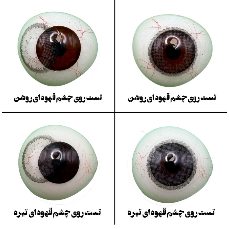 لنز چشم هرا گریس تمیم کانتکت لنز مدل PRL کد07 رنگ طوسی بنفش دوردار