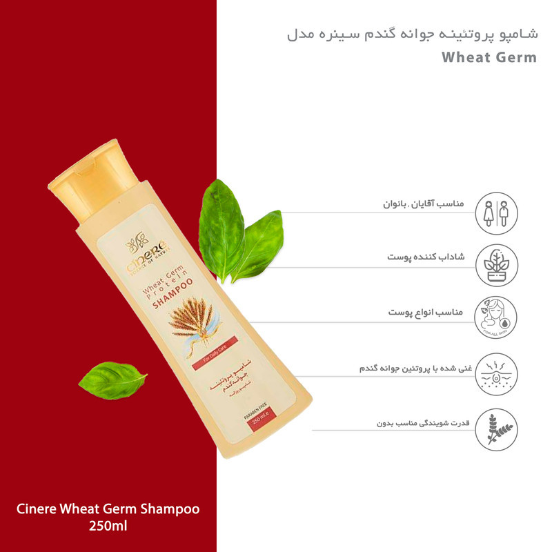 شامپو تقویت‌کننده مو سینره مخصوص انواع مو، حجم 250 میلی‌لیتر مدل Wheat Germ، حاوی ویتامین‌های E و B5 با عصاره پروتئین جوانه گندم