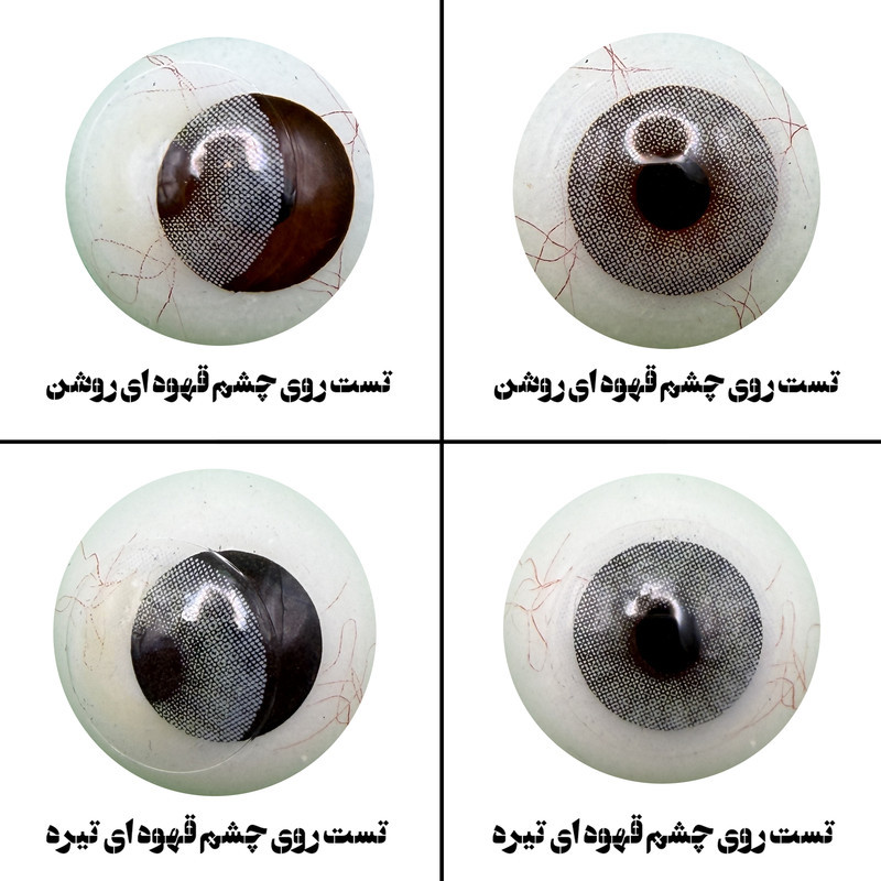 لنز چشم رویال ویژن مدل QUARTZO کد 08 رنگ طوسی سبز روشن بدون دور