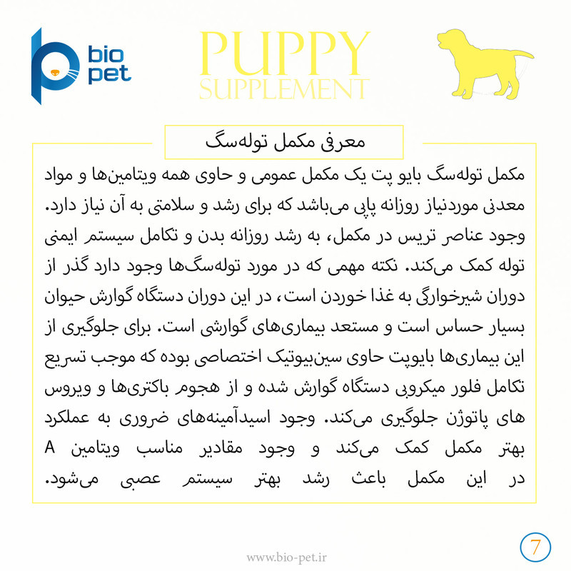 پودر مکمل توله سگ بایو پت مدل Puppy وزن 400 گرم