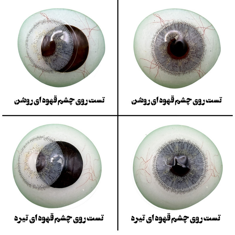 لنز چشم هرا گریس تمیم کانتکت لنز مدل ALASKA کد 13 رنگ طوسی یخی دوردار