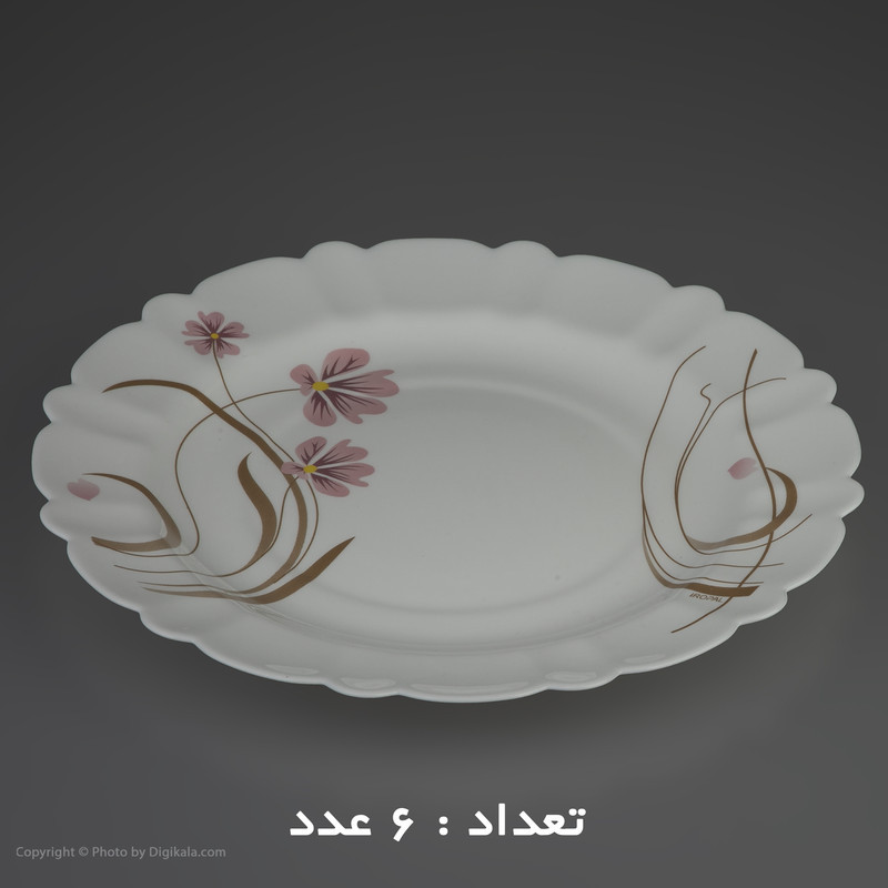 سرویس غذا خوری 25 پارچه آیروپال طرح گرد مدل صنم صورتی 