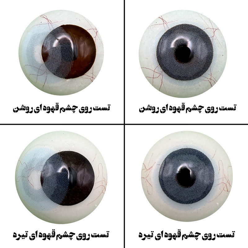 لنز چشم رویال ویژن مدل PIXY BL کد 40 رنگ آبی طبیعی بدون دور