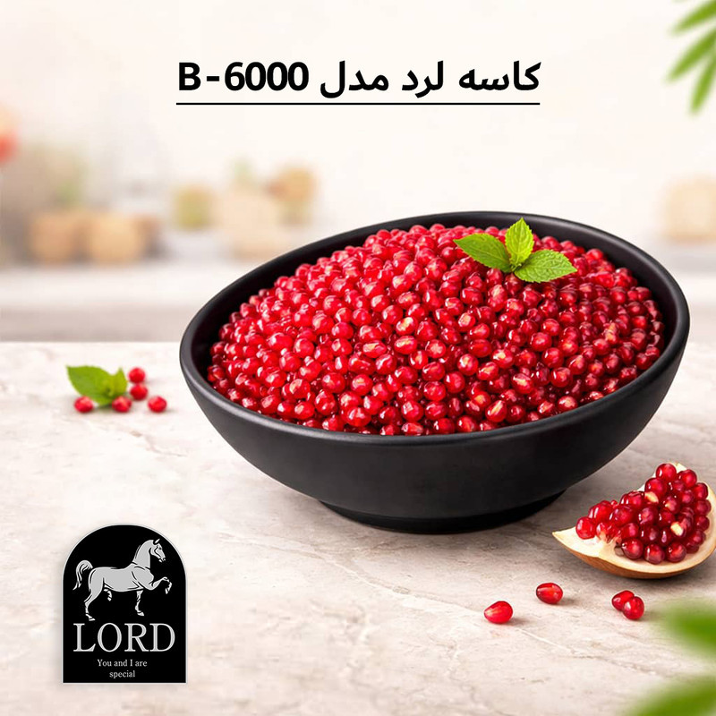 کاسه لرد مدل B-6000