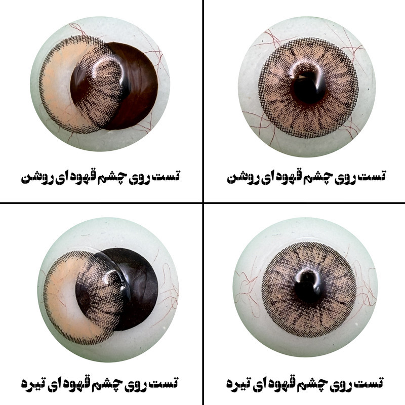 لنز چشم رویال ویژن مدل CAPPUCCINO کد 16 رنگ عسلی کاراملی دوردار