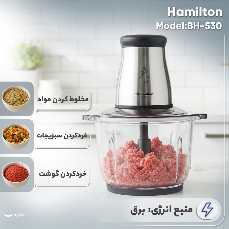 خردکن 2 لیتری همیلتون مدل BH-530