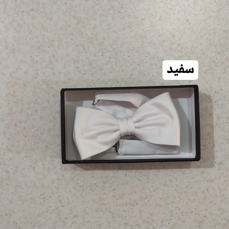 پاپیون مردانه درسمن مدل P22
