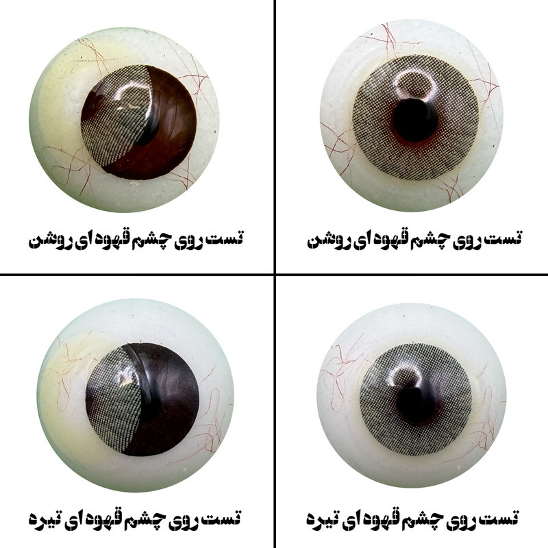 لنز چشم رویال ویژن مدل LEMONY کد 24 رنگ سبز لیمویی روشن بدون دور