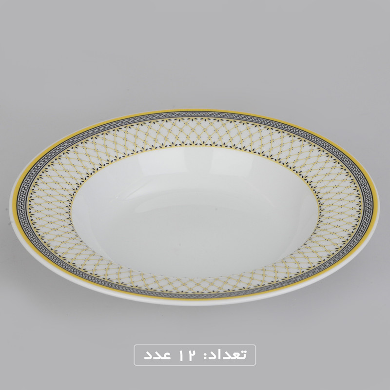 سرویس چینی 102 پارچه غذا خوری چینی زرین ایران سری ایتالیا اف مدل ویلیج درجه یک
