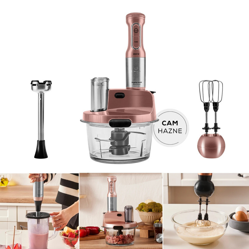غذاساز کاراجا مدل Mastermaid Prosteel Cam