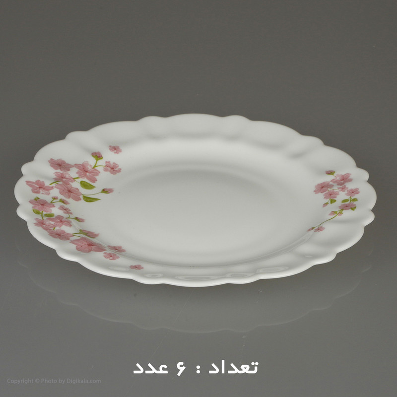 سرویس 25 پارچه اپال طرح دایره مدل اما کنگره