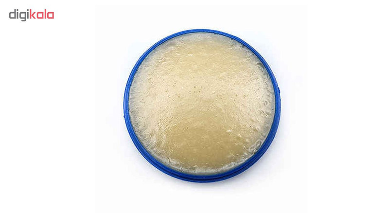 روغن لحیم پیشگام مدل B50 مقدار 50 گرم