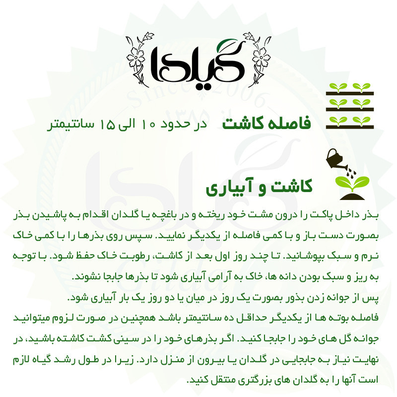 بذر جعفری پاکوتاه الوان گیلدا کد 870