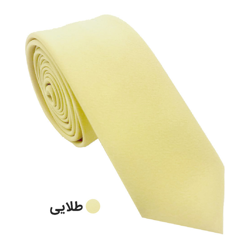 کراوات مردانه هکس ایران مدل KS-108