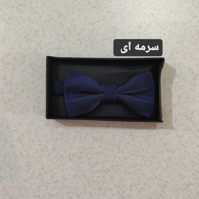 پاپیون مردانه درسمن مدل P22