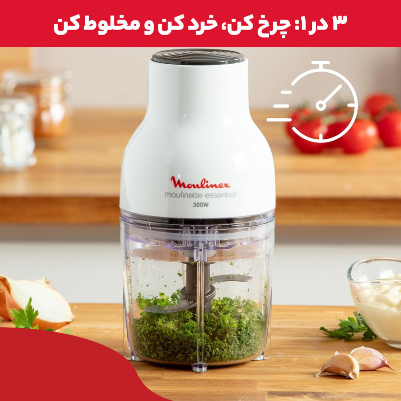 خردکن 0.4 لیتری مولینکس مدل dj520