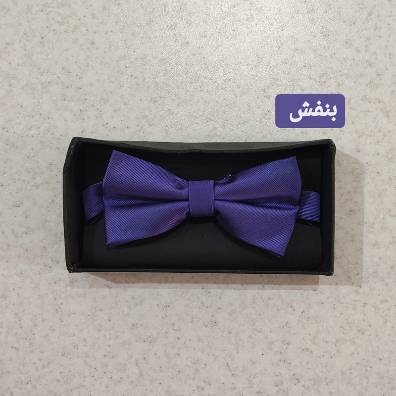پاپیون مردانه درسمن مدل P22