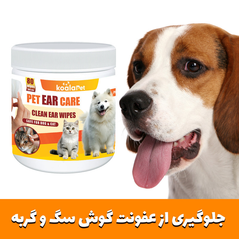 دستمال مرطوب سگ و گربه مخصوص گوش و اطراف چشم کوالاپت مدل  Wipes03 بسته دو عددی
