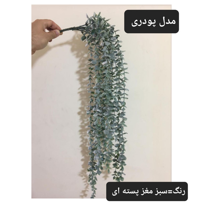 گل مصنوعی آویز شمشاد برفی مدل PAL.5550 از جنس پلاستیک، طول 75 سانتی‌متر، دارای 14 بازو، قابل شستشو و در دو رنگ سبز پودری و سبز دودی