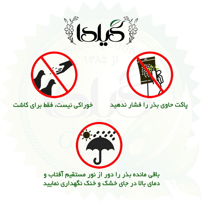بذر جعفری گیلدا کد 113