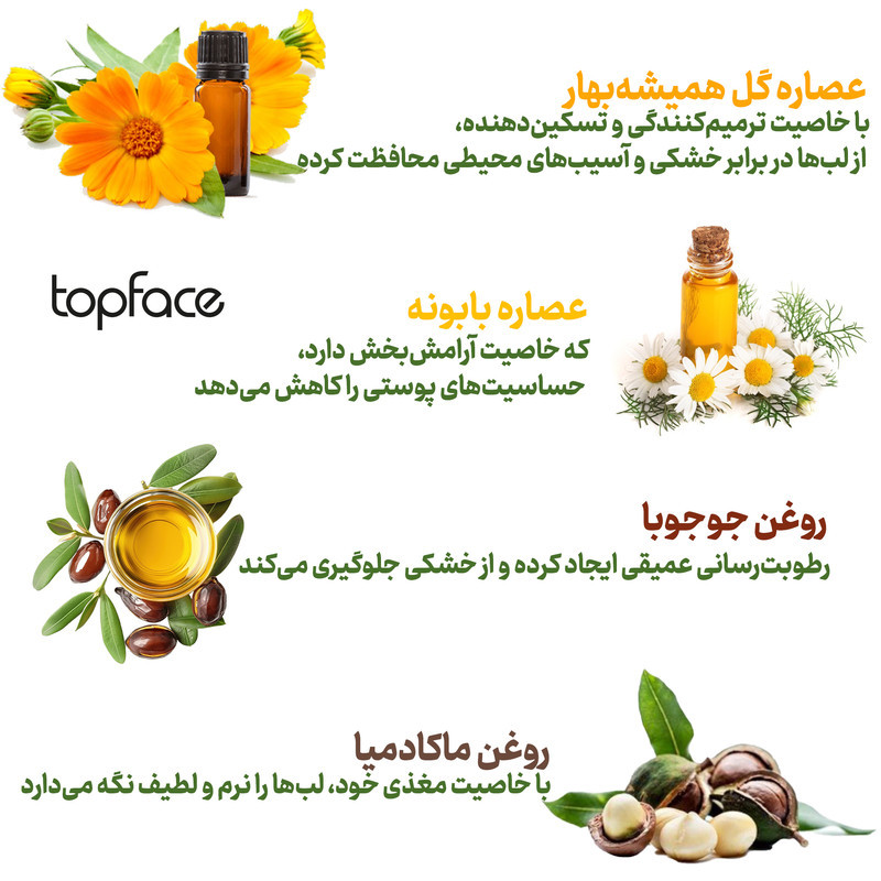 برق لب مایع تاپ فیس مدل Focus Point Perfect Gleam شماره 104