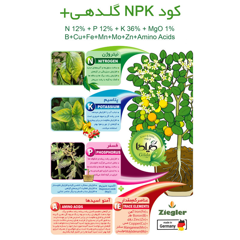کود NPK گلدهی+ گیلدا کد 36-12-12 وزن 25 گرم