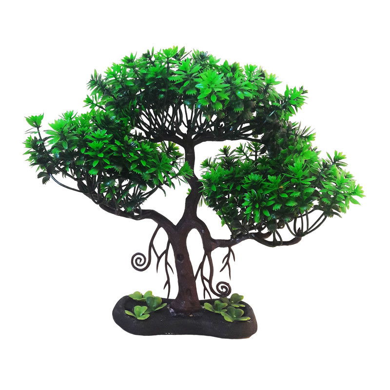 گیاه تزیینی آکواریوم کد A05